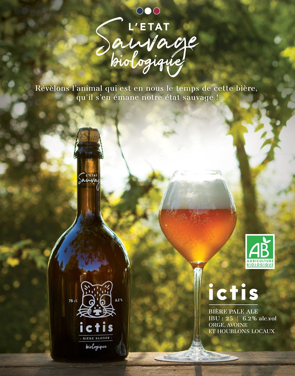Ictis Es Affiche