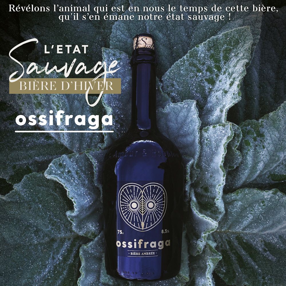 Visuel Affiche